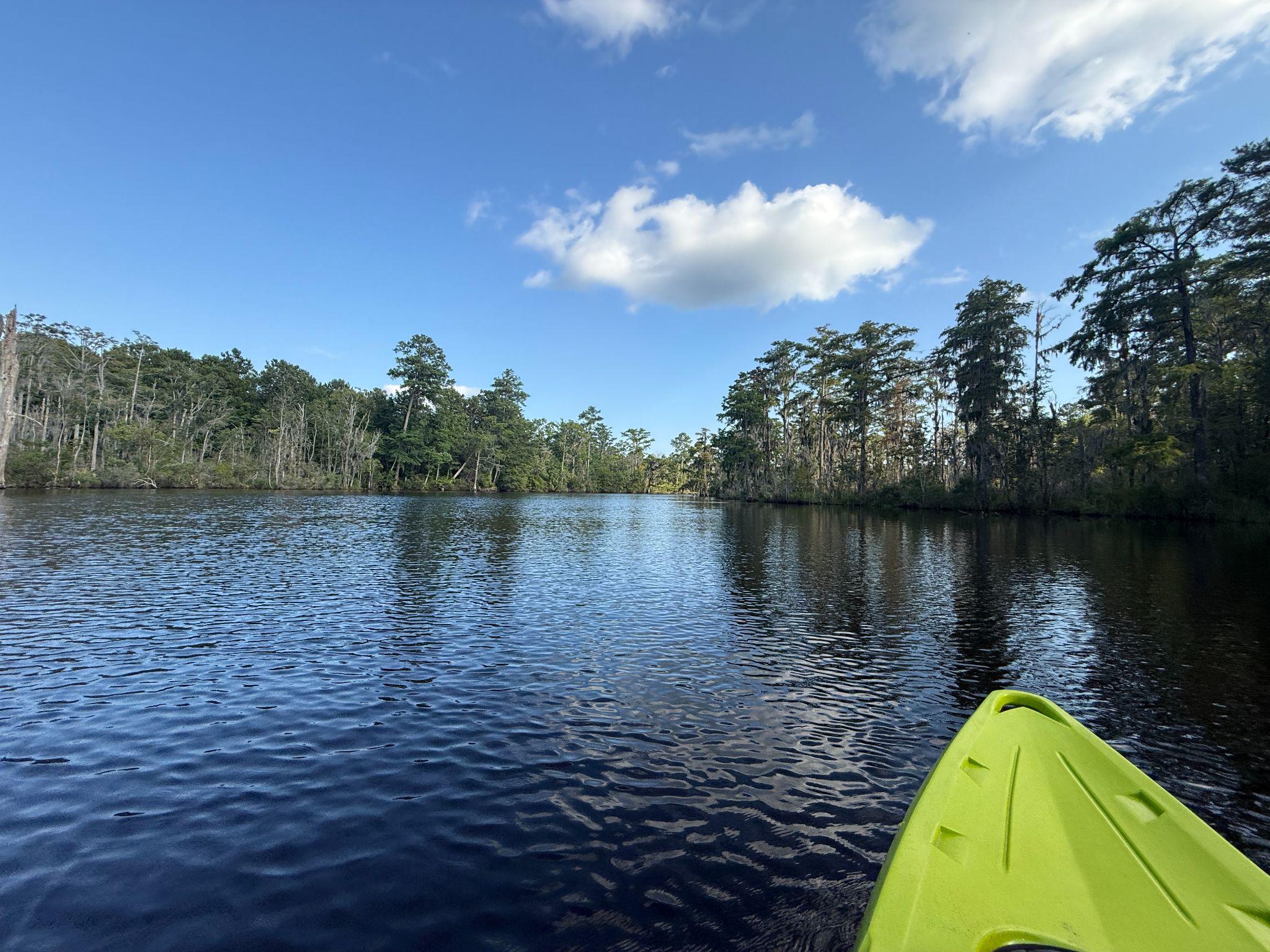 First-person view from a green kayak on a calm, tree-lined river near New Bern under a blue sky